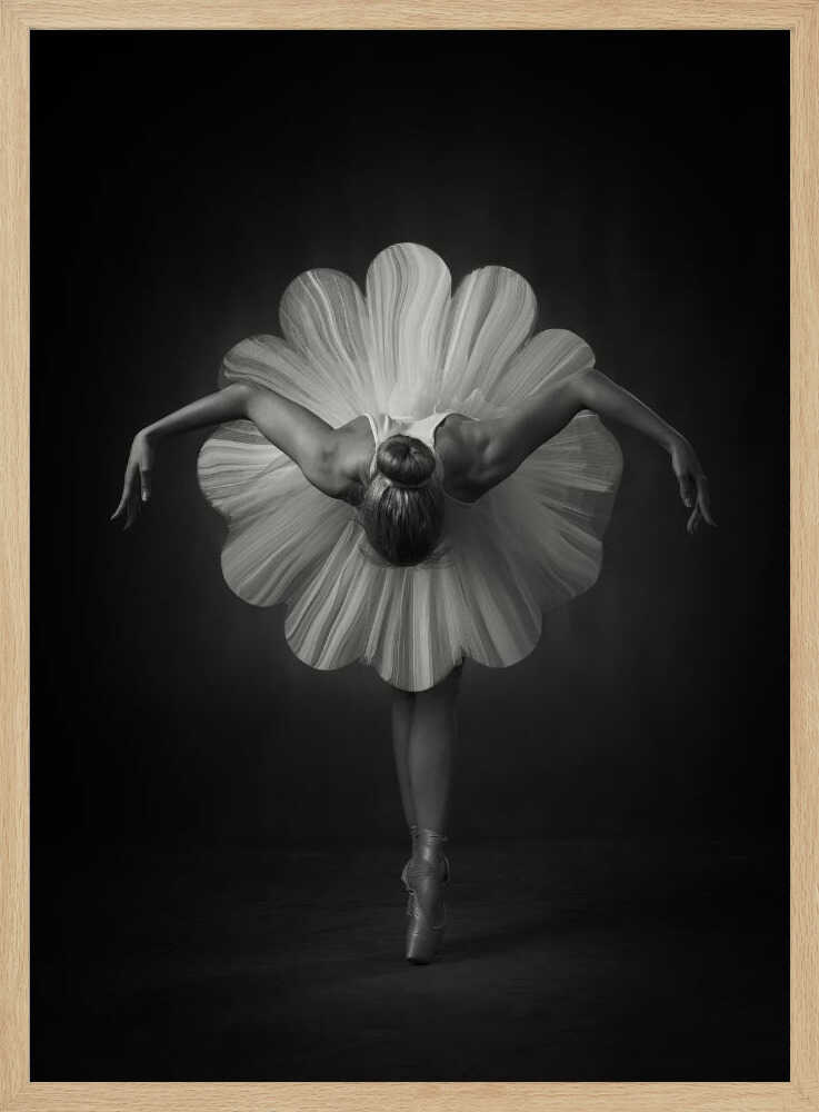 Elegant Ballet Bloom Art Print UK — Botanical Dark Wall Art — Living Room — Wall It All Prints