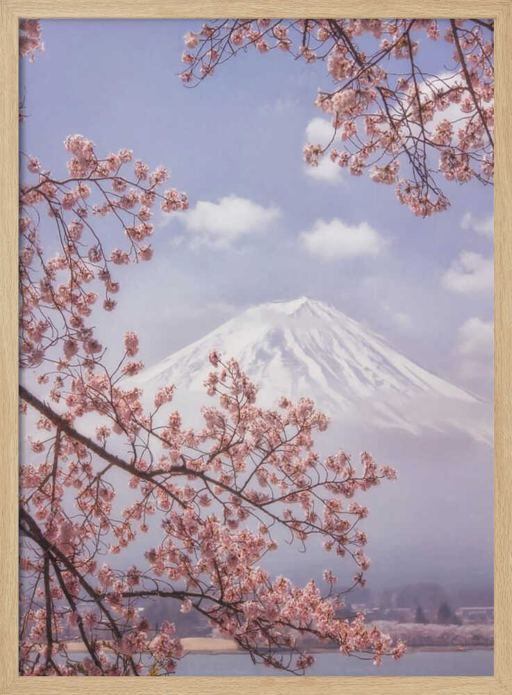 Mount Fuji Cherry Blossoms Art Print UK — Japanese Calm Wall Art — Living Room — Wall It All Prints