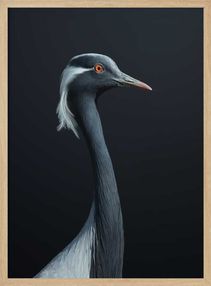 Demoiselle Crane Profile Art Print UK — Abstract Dark Wall Art — Office — Wall It All Prints