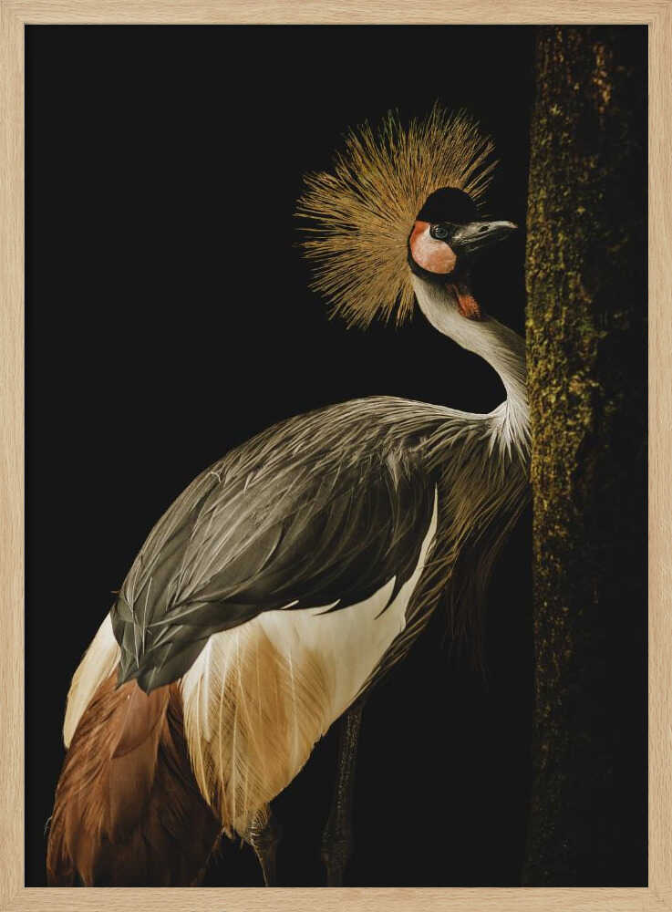 Regal Crowned Crane Art Print UK — Dark Moody Vibrant Wall Art — Living Room — Wall It All Prints
