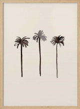 Tropical Palm Silhouettes