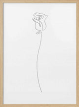 Elegant Rose Line Art