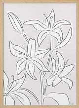 Minimalist Lily Blooms