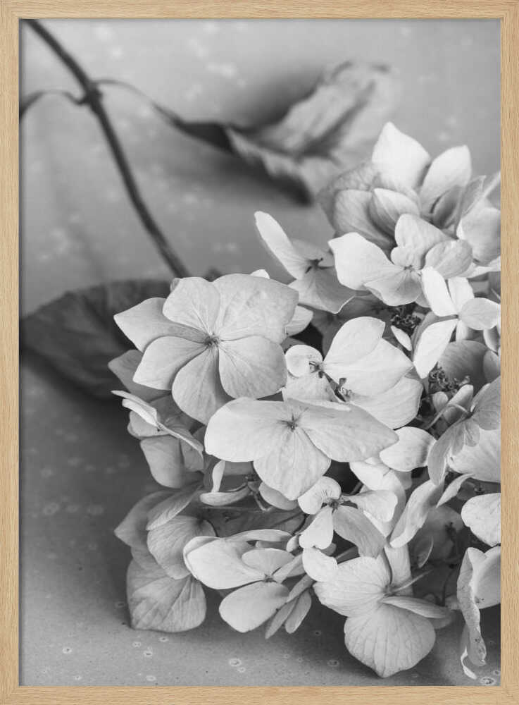 Monochrome Hydrangea Still Life Art Print UK — Botanical Calm Wall Art — Bedroom — Wall It All Prints