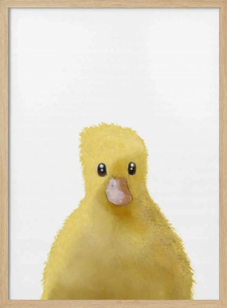 Cute Yellow Chick Pictufy Studio II