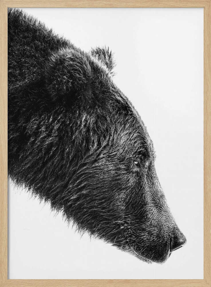 Grizzly Bear Profile Art Print UK — Dark Moody Dark Wall Art — Living Room — Wall It All Prints