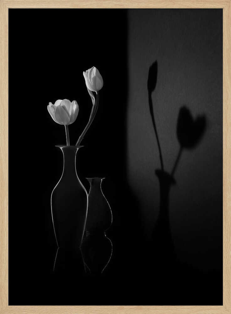 White Tulips and Shadows Art Print UK — Botanical Calm Wall Art — Bedroom — Wall It All Prints