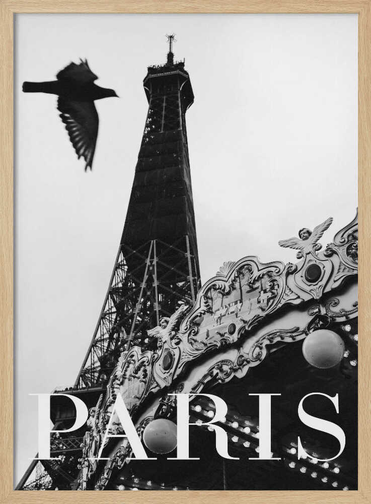 Paris Dove Art Print UK — Vintage Dark Wall Art — Living Room — Wall It All Prints