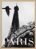 Paris Dove