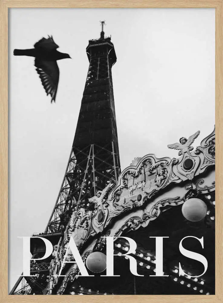 Paris Dove Art Print UK — Vintage Dark Wall Art — Living Room — Wall It All Prints