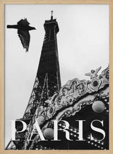 Paris Dove Art Print UK — Vintage Dark Wall Art — Living Room — Wall It All Prints