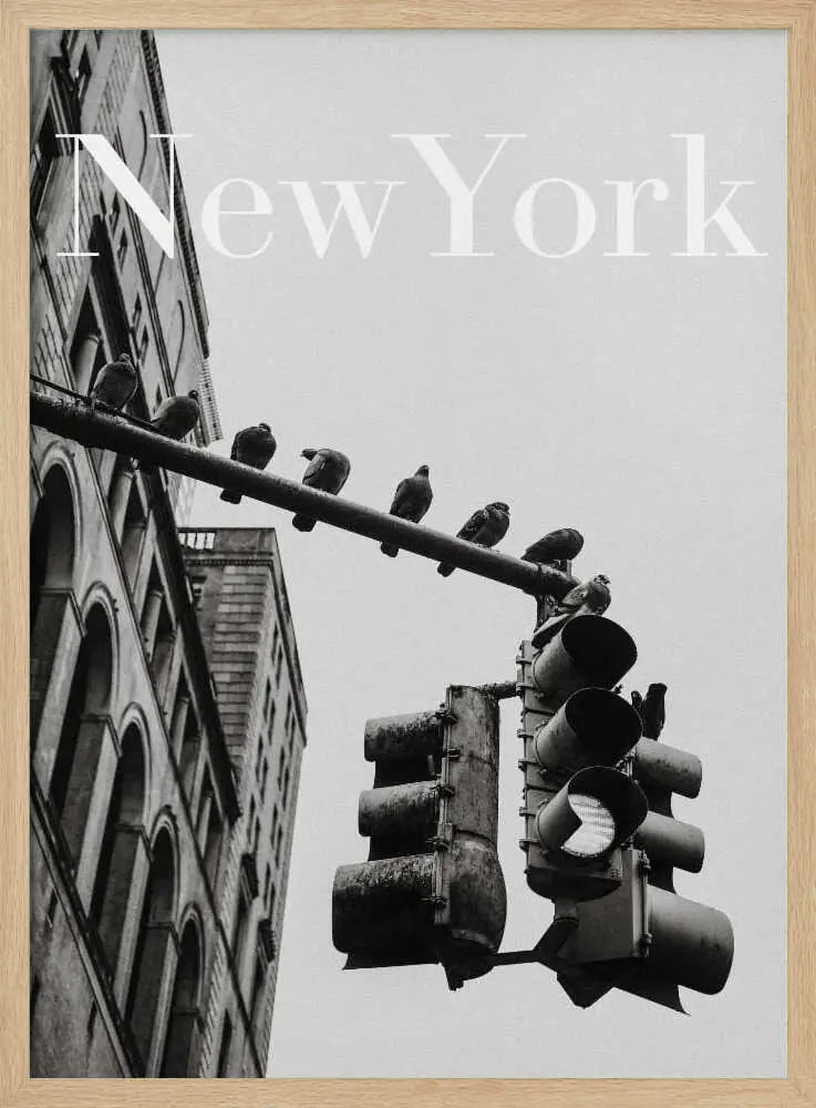 NYC Doves Art Print UK — Vintage Dark Wall Art — Living Room — Wall It All Prints