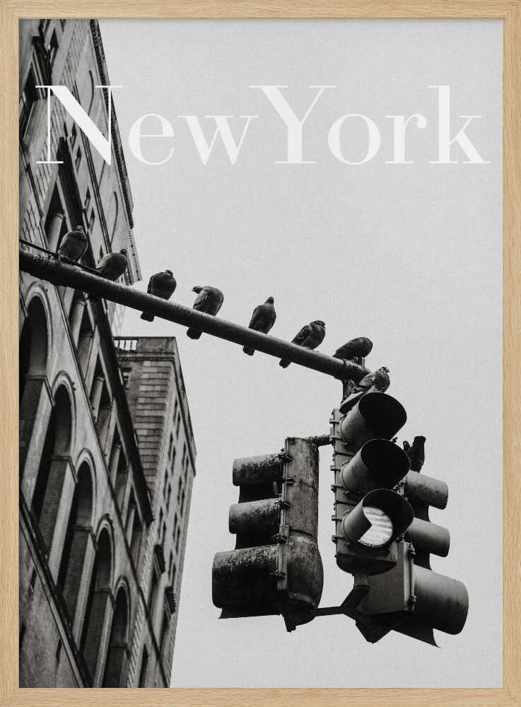 NYC Doves Art Print UK — Vintage Dark Wall Art — Living Room — Wall It All Prints