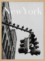 NYC Doves Art Print UK — Vintage Dark Wall Art — Living Room — Wall It All Prints