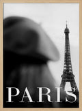 Classic Paris Tower View