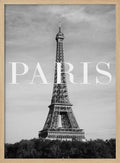 Eiffel Tower Paris