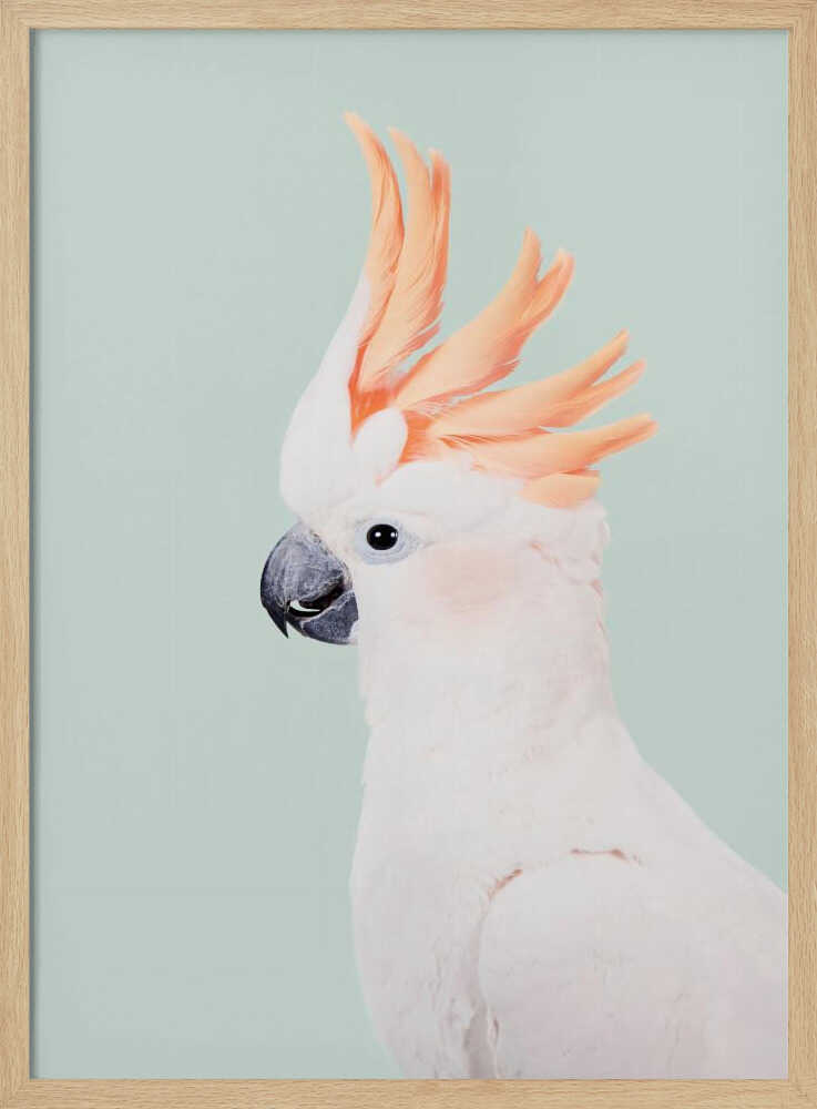 Cockatoo Art Print UK — Animal Vibrant Wall Art — Living Room — Wall It All Prints