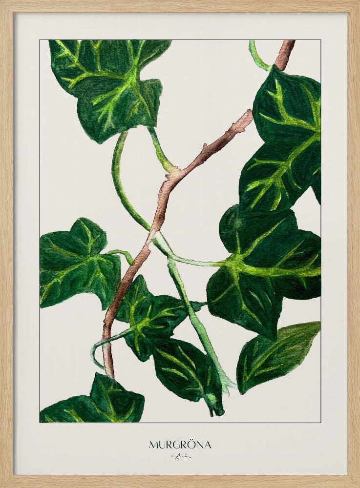 Green Ivy Botanical Art Print UK — Botanical Vibrant Wall Art — Living Room — Wall It All Prints