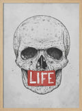 Skull of Life