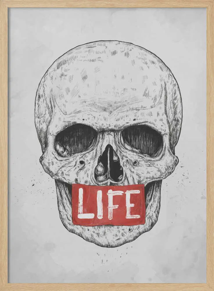 Skull of Life