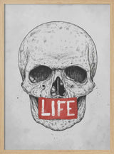 Skull of Life