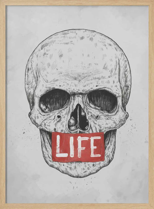 Skull of Life