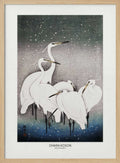 Group Of Egrets