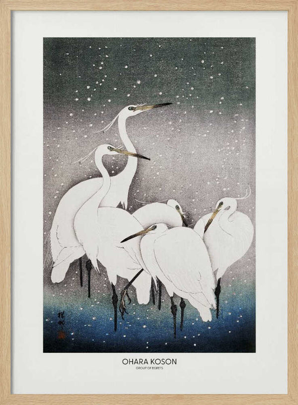 Group Of Egrets