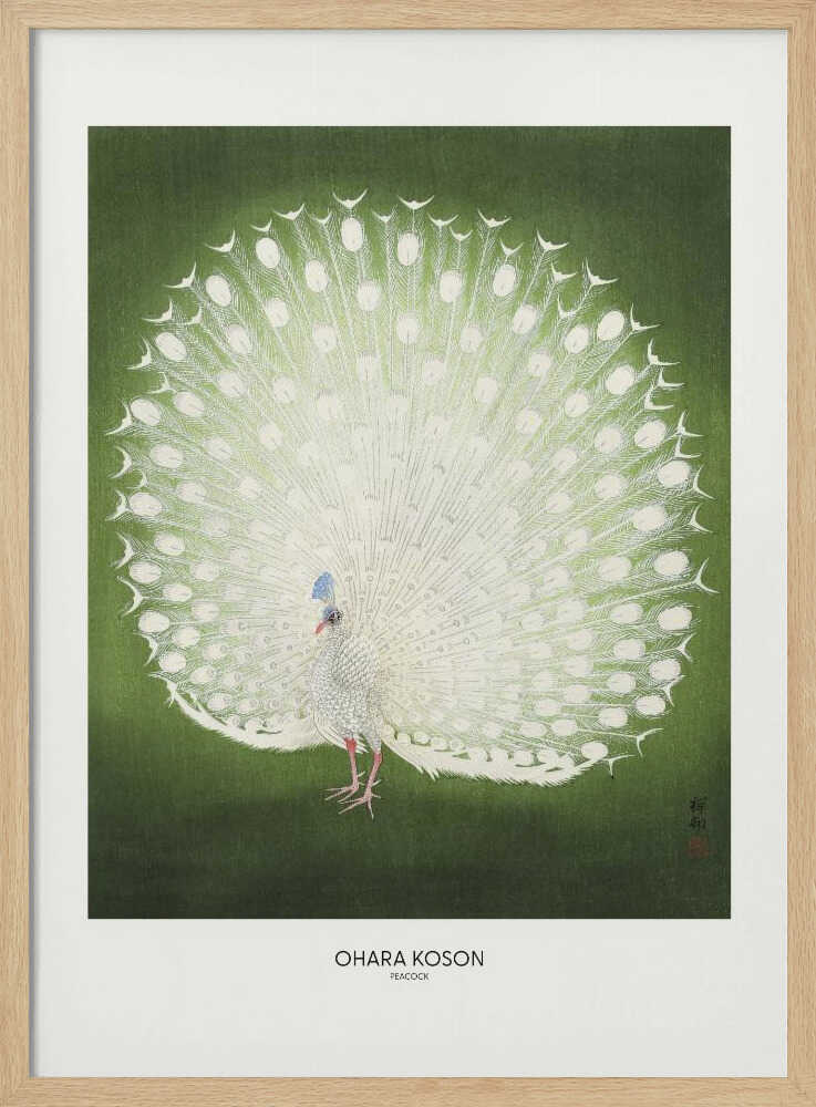 Peacock - Wide Art Print UK — Japanese Fresh Wall Art — Living Room — Wall It All Prints