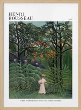 Femme Se Promenant Dans Une Foret Exotique