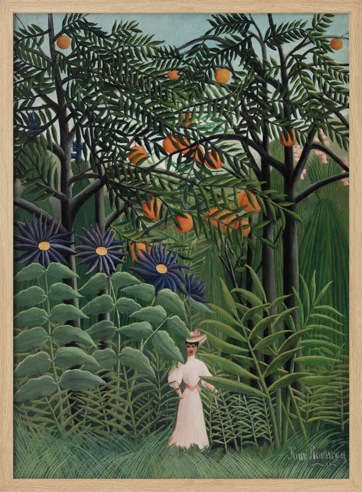 Femme Se Promenant Dans Une Foret Exotique