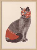 Funny Luchador Cat