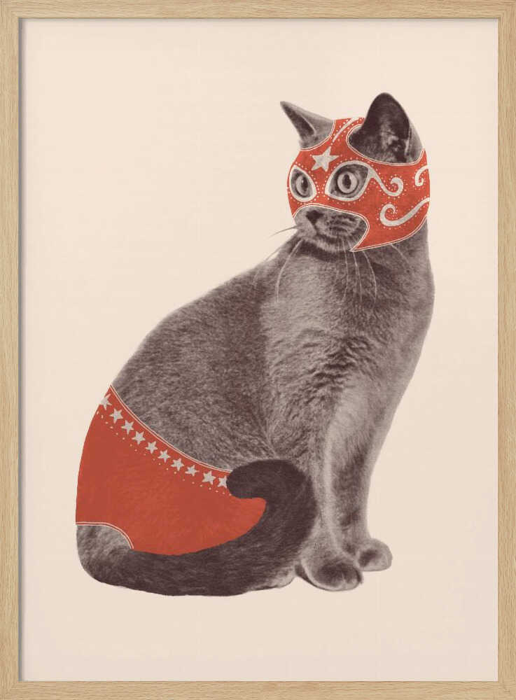 Funny Luchador Cat Art Print UK — Animal Vibrant Wall Art — Living Room — Wall It All Prints