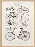 Vintage Bicycle Evolution