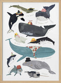 Whales With Hats