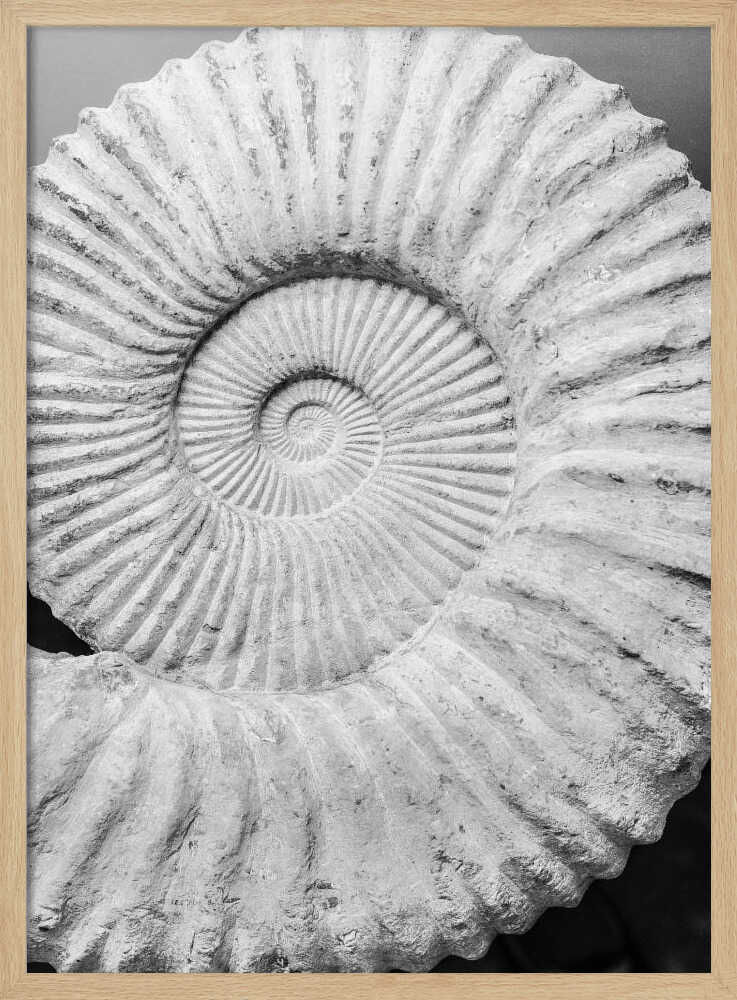 Ancient Spiral Dreams Art Print UK — Abstract Dark Wall Art — Office — Wall It All Prints