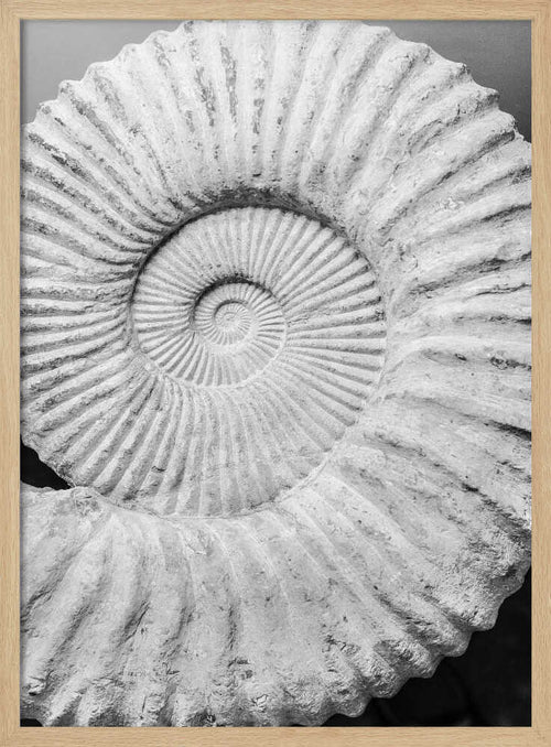 Ancient Spiral Dreams Art Print UK — Abstract Dark Wall Art — Office — Wall It All Prints