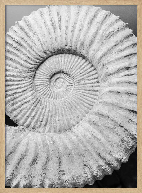 Ancient Spiral Dreams Art Print UK — Abstract Dark Wall Art — Office — Wall It All Prints