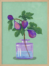 Figs Branch In Vase
