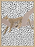 Resting Leopard Spots