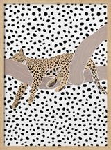 Resting Leopard Spots