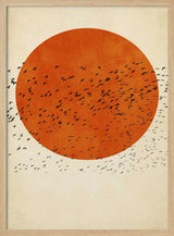 Birds In the Sun