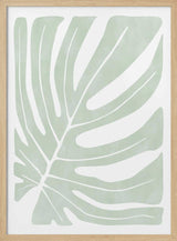 Sage Green Monstera Leaf