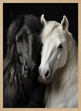 Elegant Horse Companions