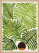 Summer Fern