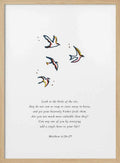 Worry Not Birds