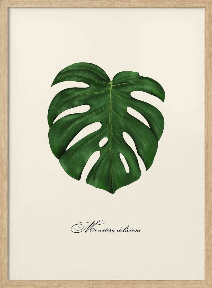 Monstera Deliciosa Leaf Art Print UK — Botanical Vibrant Wall Art — Living Room — Wall It All Prints