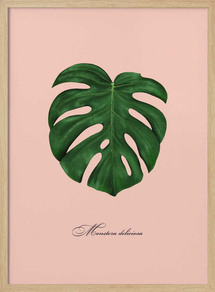 Tropical Monstera Leaf Art Print UK — Botanical Fresh Wall Art — Living Room — Wall It All Prints