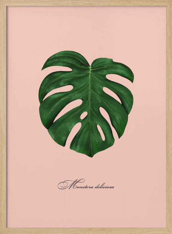 Tropical Monstera Leaf Art Print UK — Botanical Fresh Wall Art — Living Room — Wall It All Prints