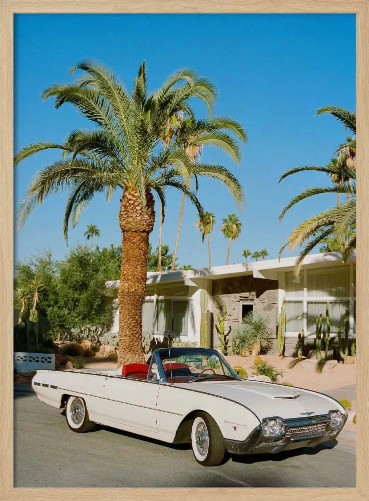 Palm Springs Classic Car Art Print UK — Botanical Minimal Wall Art — Living Room — Wall It All Prints